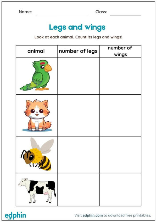 Legs & Wings Of Animals Worksheet With Answers