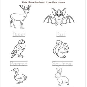 Animal Names Worksheet With Answers