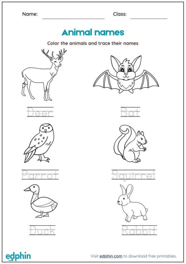 Animal Names Worksheet With Answers