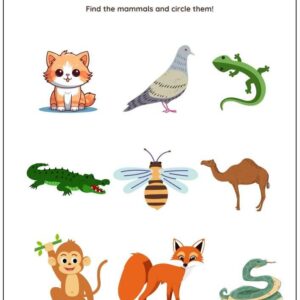 Types Of Animals Worksheet With Answers