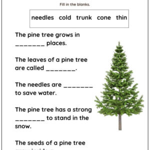 How Plants Adapt Fill In The Blanks Worksheet With Answers