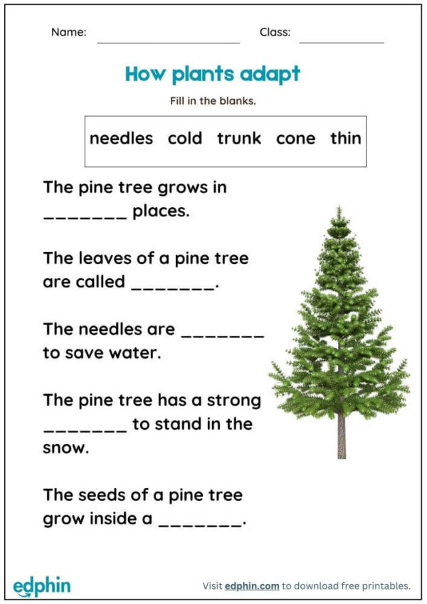 How Plants Adapt Fill In The Blanks Worksheet With Answers