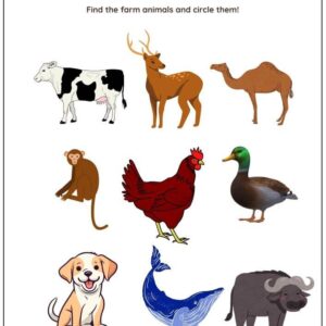 Identify Ocean, Forest And Farm Animals Worksheet With Answers