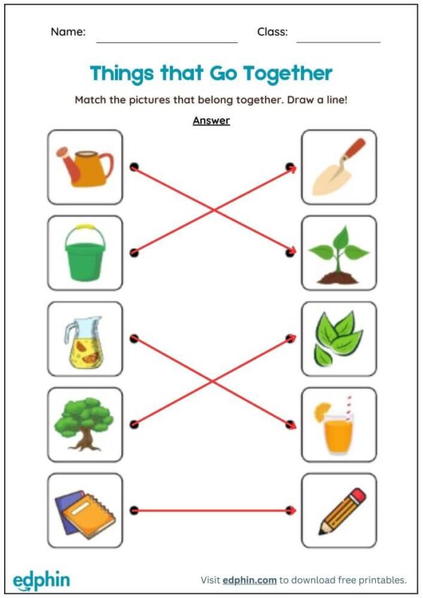Identify The Correct Pair Worksheet With Answers - Image 3