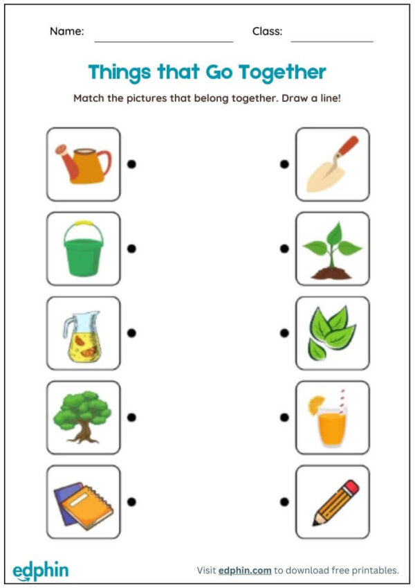 Identify The Correct Pair Worksheet With Answers - Image 2