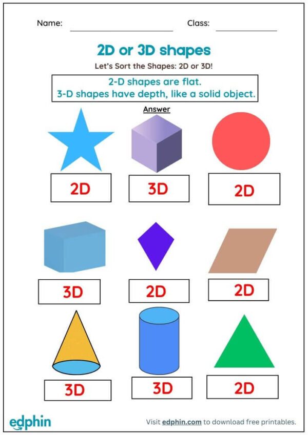 Identify & Label 2D & 3D Shapes Worksheet With Answers - Image 3