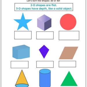 Identify & Label 2D & 3D Shapes Worksheet With Answers