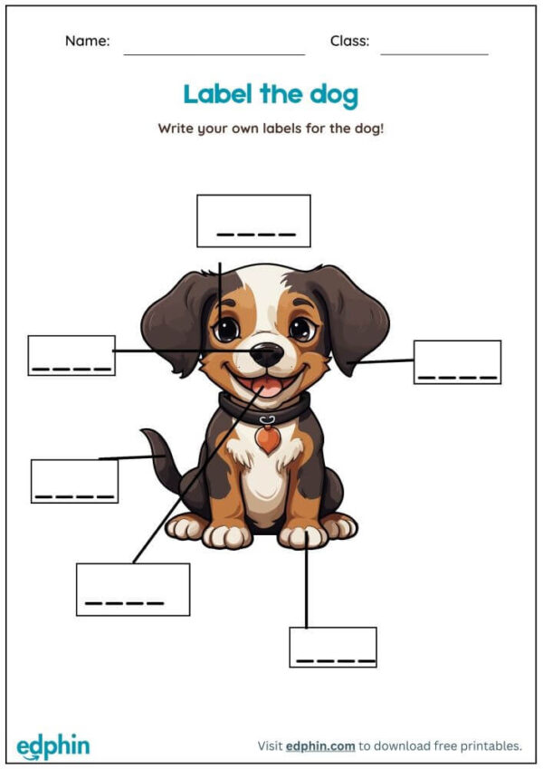 Label Body Parts Of Animals Worksheet With Answers