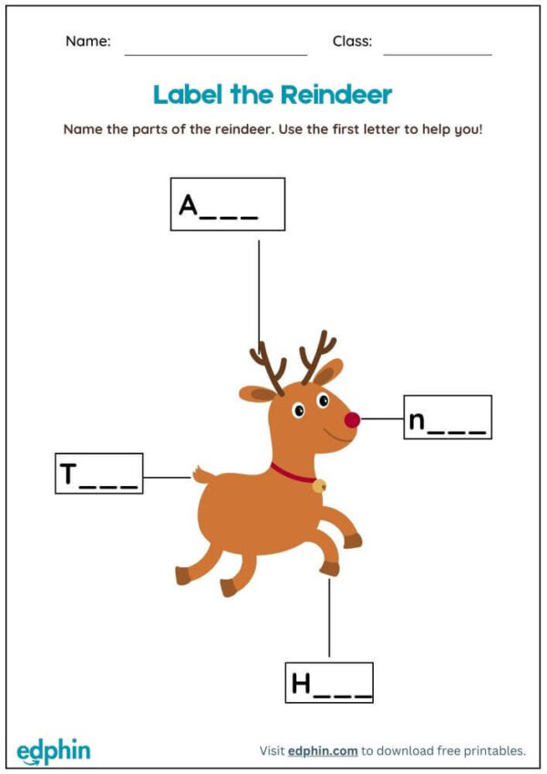 Label Body Parts Of Animals Worksheet With Answers - Image 2