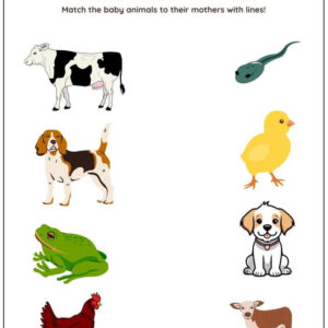 Match Baby Animals & Mothers Worksheet With Answers