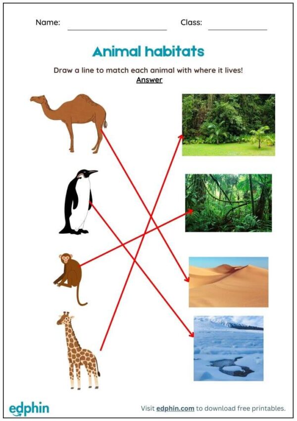 Animal Habitats Worksheet With Answers - Image 3