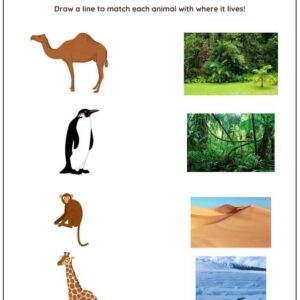 Animal Habitats Worksheet With Answers