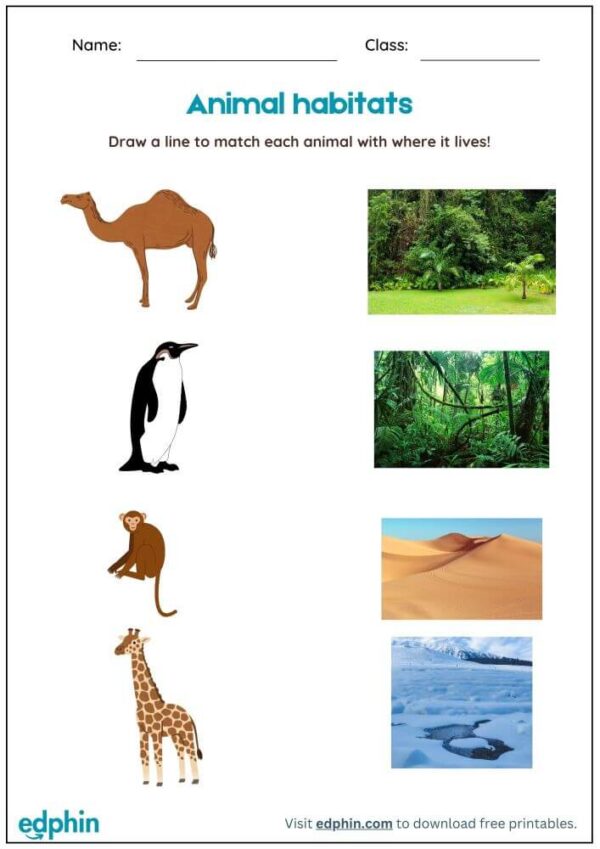 Animal Habitats Worksheet With Answers