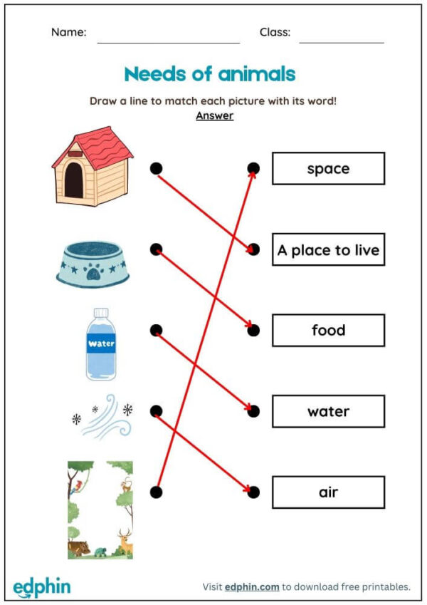 Needs Of Animals Worksheet With Answers - Image 3