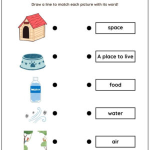 Needs Of Animals Worksheet With Answers