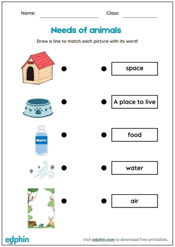 Needs Of Animals Worksheet With Answers