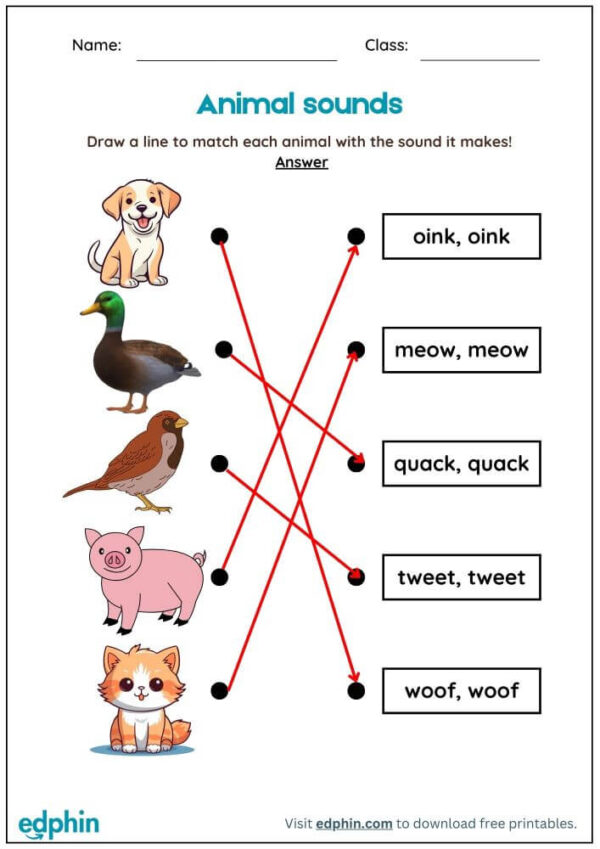 Animal sounds Worksheet With Answers - Image 3
