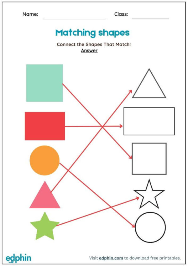 Match Similar Shapes Worksheet With Answers - Image 3
