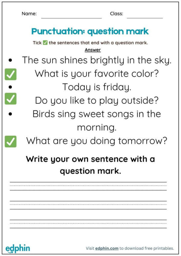 Question Marks Punctuation Worksheet With Answers - Image 3