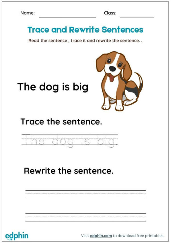 Read, Trace And Re-Write Sentences Worksheet With Answer - Image 3
