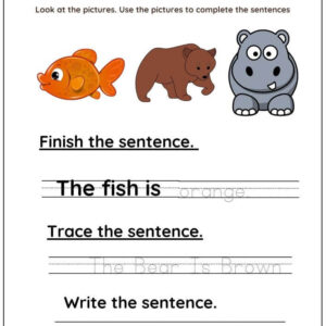 Read, Trace And Write New Sentences Worksheet With Answers