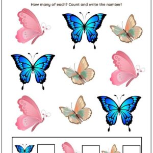 Sort & Count Butterflies Worksheet With Answers