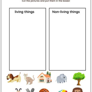 Identify Living Things Worksheet With Answers