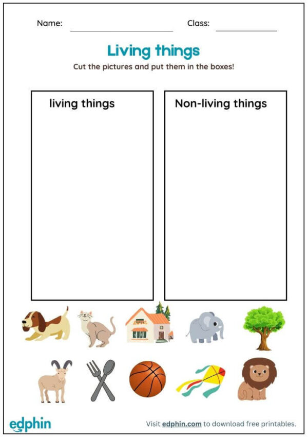 Identify Living Things Worksheet With Answers