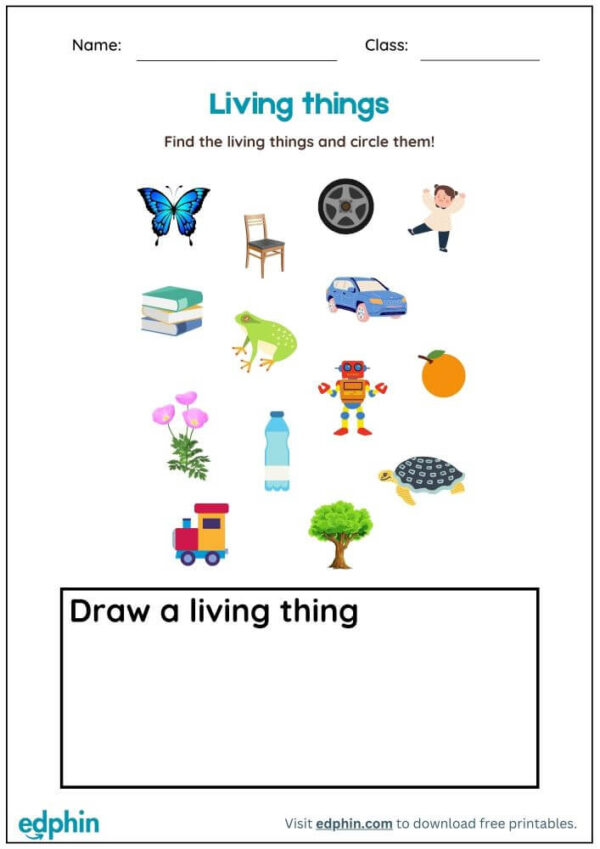 Identify Living Things Worksheet With Answers - Image 2